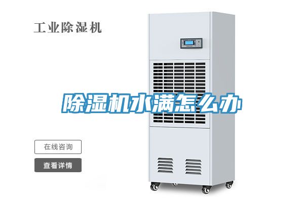 MR.好色破解版水满怎么办