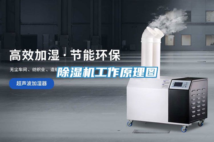 MR.好色破解版工作原理图