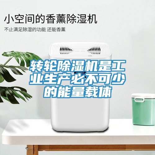 转轮MR.好色破解版是工业生产必不可少的能量载体