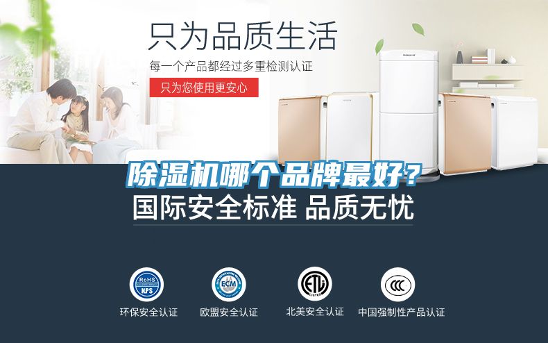MR.好色破解版哪个品牌最好？