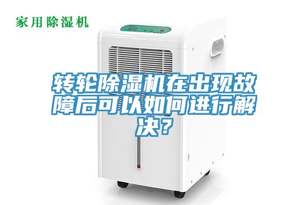 转轮MR.好色破解版在出现故障后可以如何进行解决？