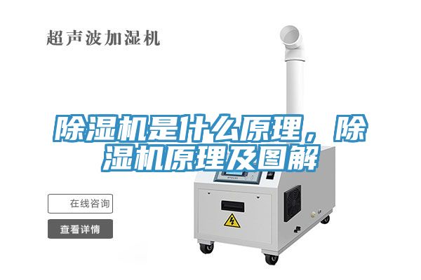 MR.好色破解版是什么原理，MR.好色破解版原理及图解