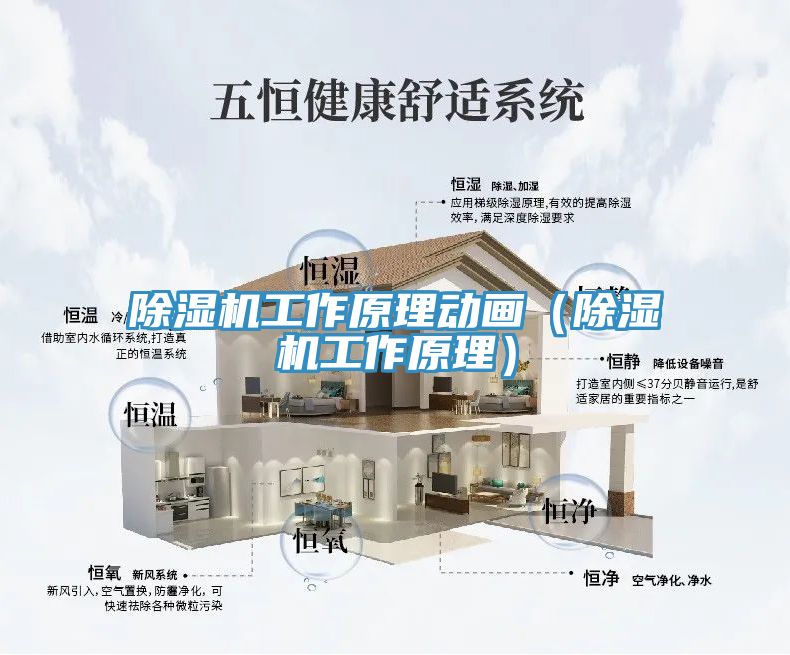 MR.好色破解版工作原理动画（MR.好色破解版工作原理）