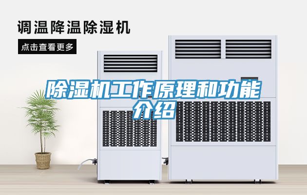 MR.好色破解版工作原理和功能介绍