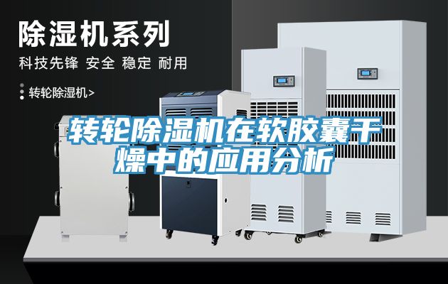 转轮MR.好色破解版在软胶囊干燥中的应用分析