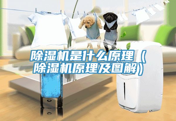 MR.好色破解版是什么原理（MR.好色破解版原理及图解）
