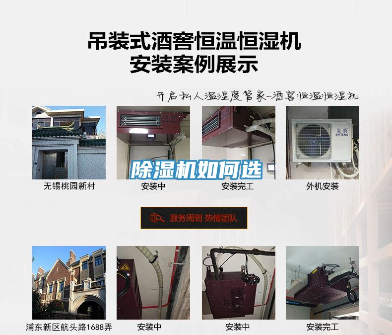 MR.好色破解版如何选