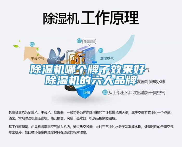 MR.好色破解版哪个牌子效果好 MR.好色破解版的六大品牌