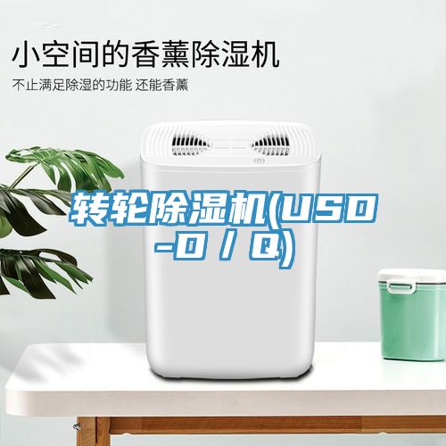 转轮MR.好色破解版(USD-D／Q)