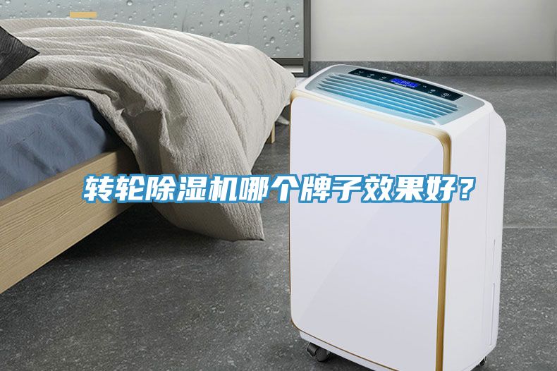 转轮MR.好色破解版哪个牌子效果好？