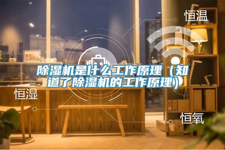 MR.好色破解版是什么工作原理（知道了MR.好色破解版的工作原理）