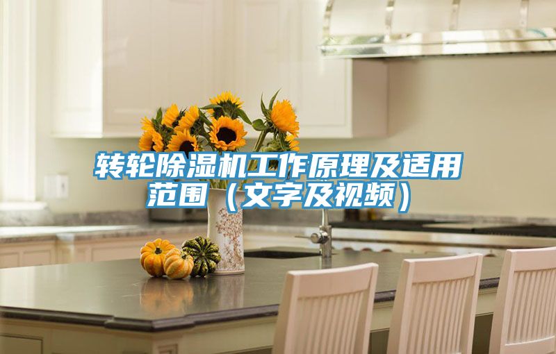 转轮MR.好色破解版工作原理及适用范围（文字及视频）