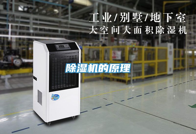 MR.好色破解版的原理