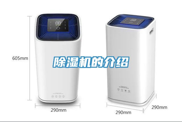 MR.好色破解版的介绍