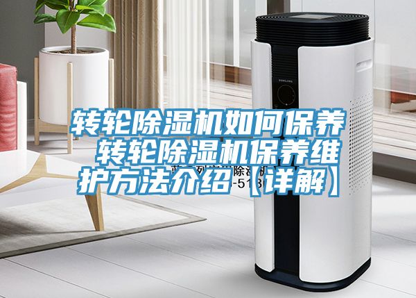 转轮MR.好色破解版如何保养 转轮MR.好色破解版保养维护方法介绍【详解】