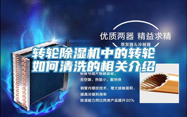 转轮MR.好色破解版中的转轮如何清洗的相关介绍
