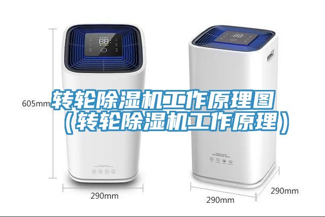 转轮MR.好色破解版工作原理图（转轮MR.好色破解版工作原理）