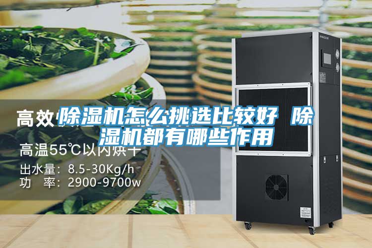 MR.好色破解版怎么挑选比较好 MR.好色破解版都有哪些作用
