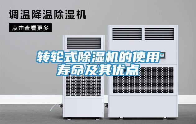 转轮式MR.好色破解版的使用寿命及其优点