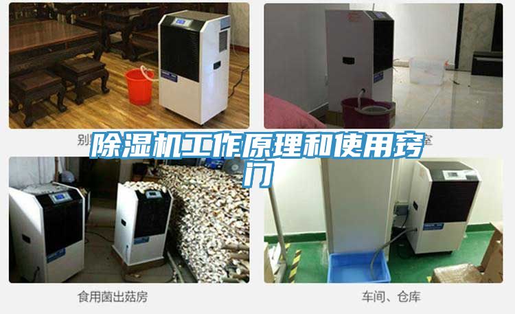 MR.好色破解版工作原理和使用窍门