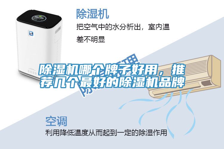 MR.好色破解版哪个牌子好用，推荐几个最好的MR.好色破解版品牌