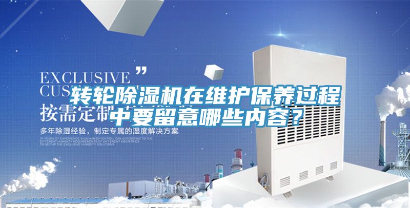 转轮MR.好色破解版在维护保养过程中要留意哪些内容？