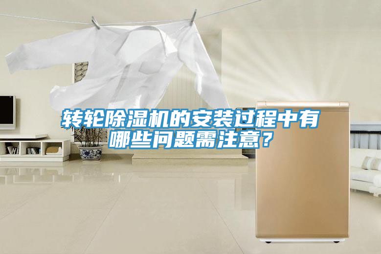 转轮MR.好色破解版的安装过程中有哪些问题需注意？