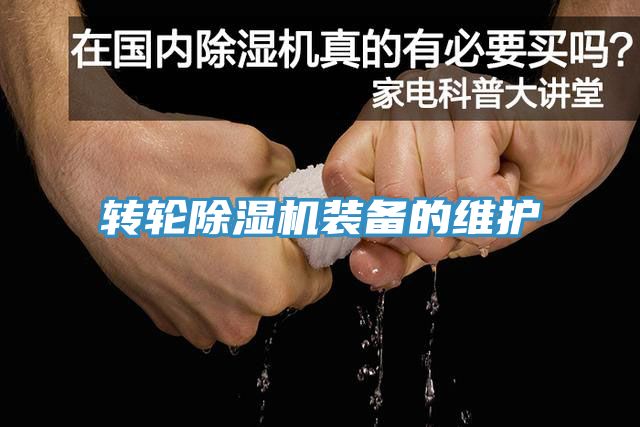 转轮MR.好色破解版装备的维护