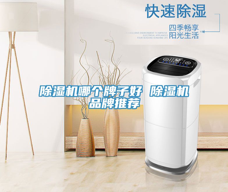 MR.好色破解版哪个牌子好 MR.好色破解版品牌推荐