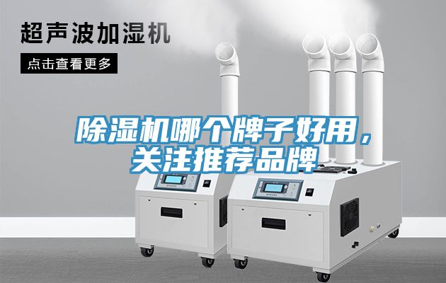 MR.好色破解版哪个牌子好用，关注推荐品牌