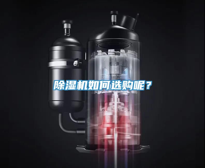 MR.好色破解版如何选购呢？