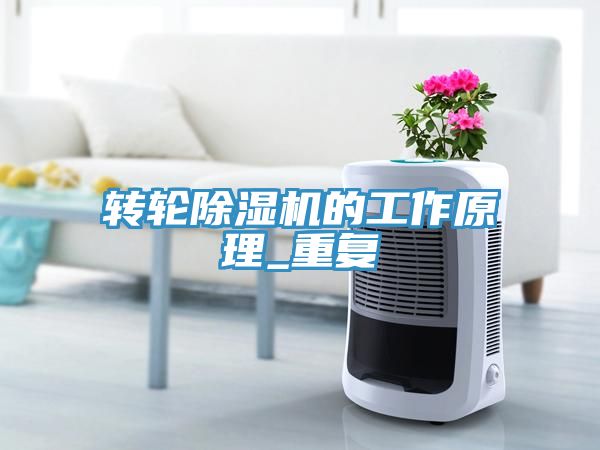 转轮MR.好色破解版的工作原理_重复