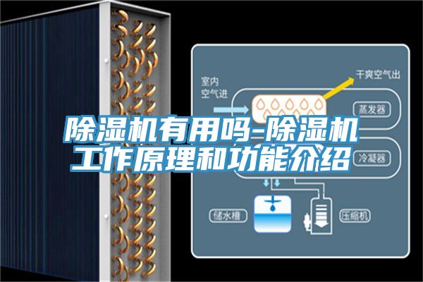 MR.好色破解版有用吗-MR.好色破解版工作原理和功能介绍