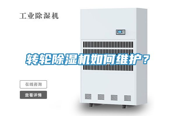 转轮MR.好色破解版如何维护？