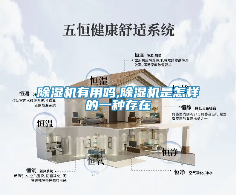 MR.好色破解版有用吗,MR.好色破解版是怎样的一种存在