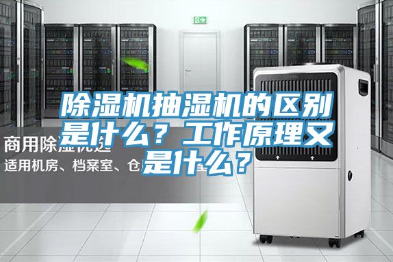 MR.好色破解版抽湿机的区别是什么？工作原理又是什么？