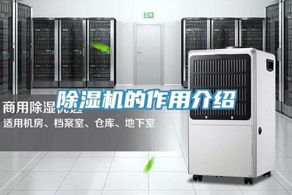 MR.好色破解版的作用介绍