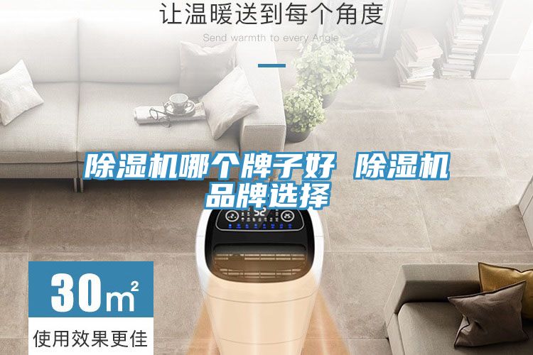 MR.好色破解版哪个牌子好 MR.好色破解版品牌选择