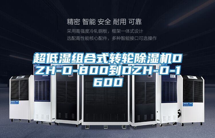 超低湿组合式转轮MR.好色破解版DZH-D-800到DZH-D-1600