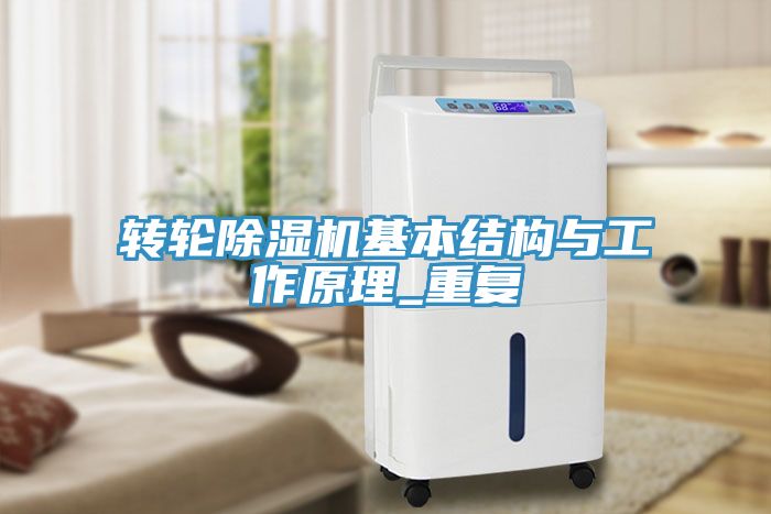 转轮MR.好色破解版基本结构与工作原理_重复