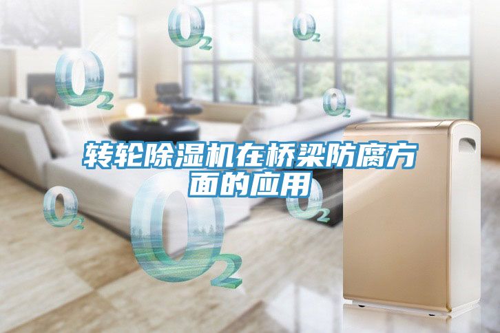 转轮MR.好色破解版在桥梁防腐方面的应用