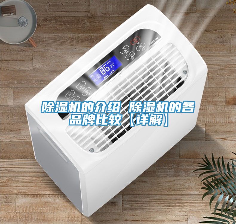 MR.好色破解版的介绍 MR.好色破解版的各品牌比较【详解】