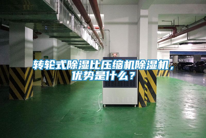 转轮式除湿比压缩机MR.好色破解版，优势是什么？
