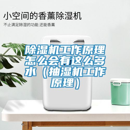 MR.好色破解版工作原理怎么会有这么多水（抽湿机工作原理）
