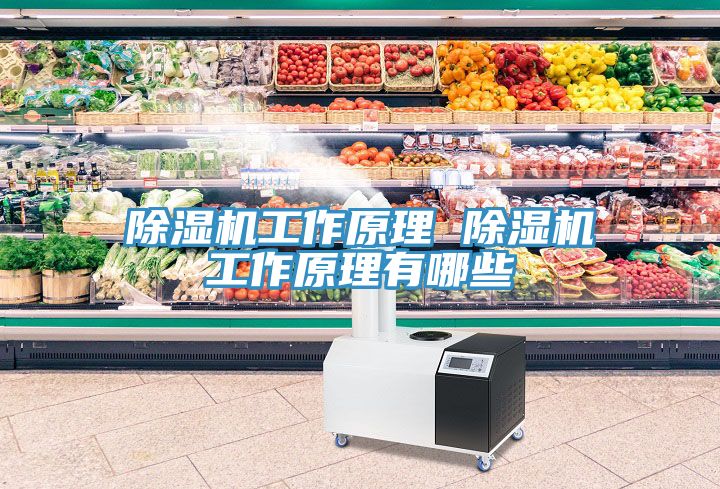 MR.好色破解版工作原理 MR.好色破解版工作原理有哪些