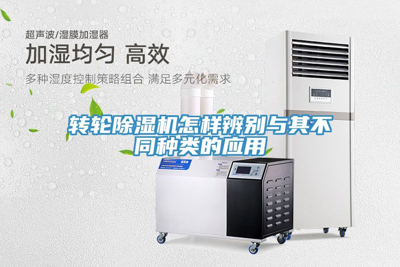 转轮MR.好色破解版怎样辨别与其不同种类的应用