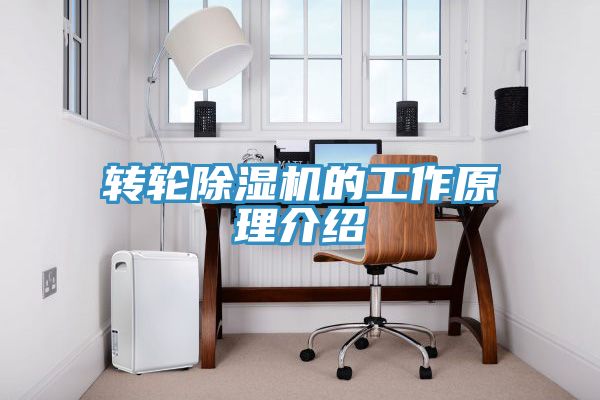 转轮MR.好色破解版的工作原理介绍
