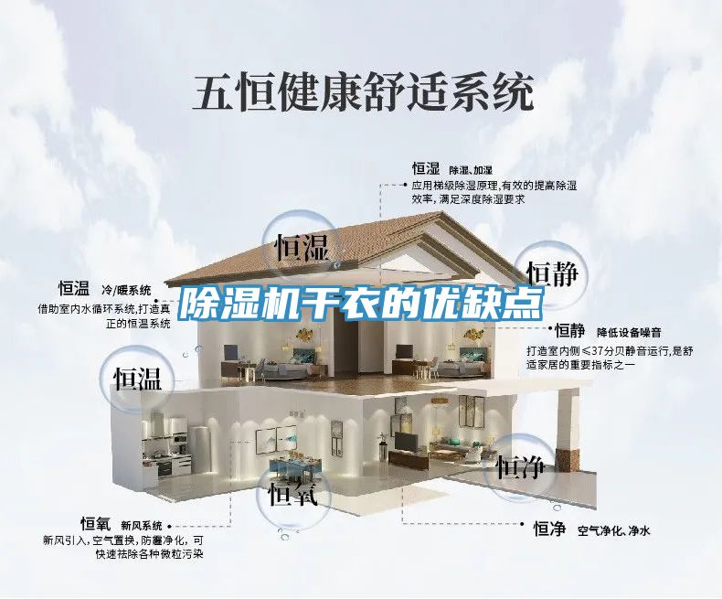 MR.好色破解版干衣的优缺点