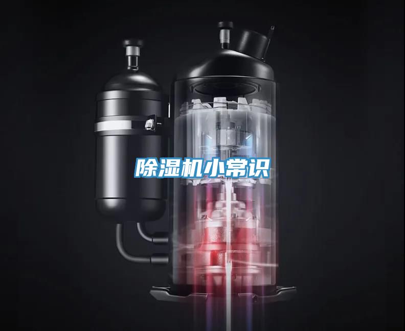 MR.好色破解版小常识