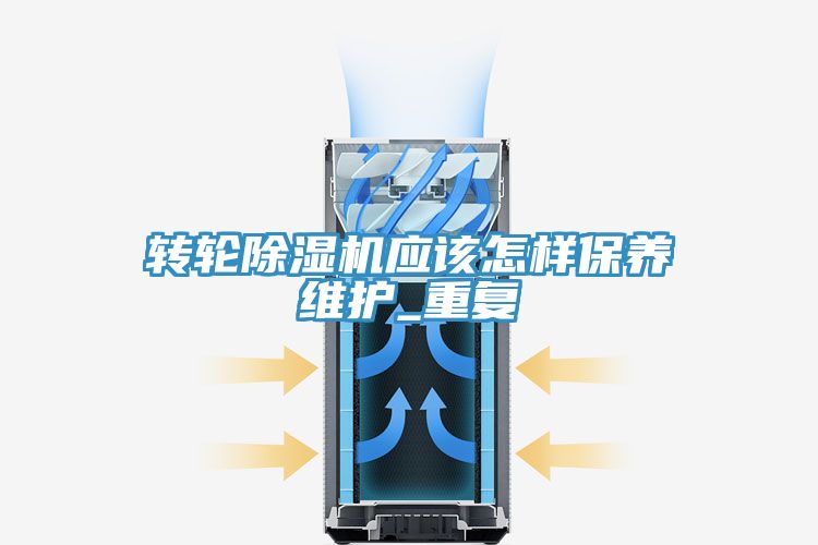 转轮MR.好色破解版应该怎样保养维护_重复